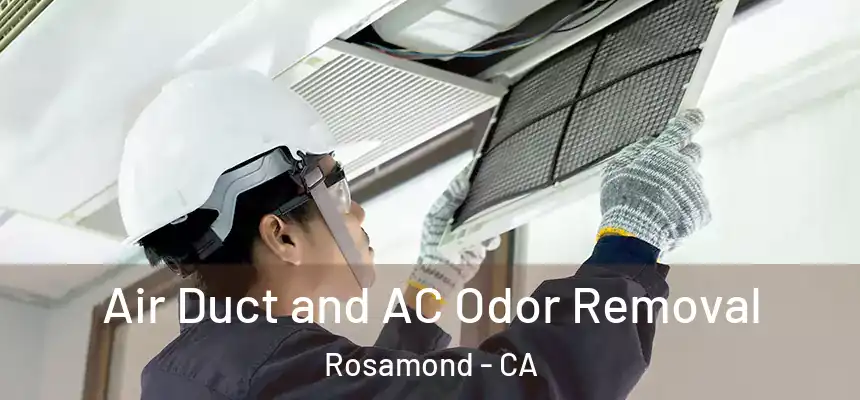 Air Duct and AC Odor Removal Rosamond - CA