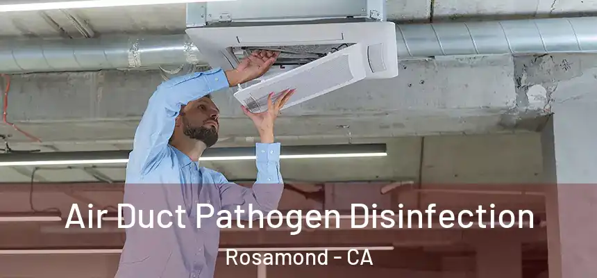 Air Duct Pathogen Disinfection Rosamond - CA