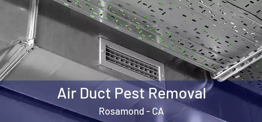 Air Duct Pest Removal Rosamond - CA