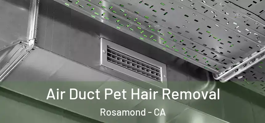  Air Duct Pet Hair Removal Rosamond - CA