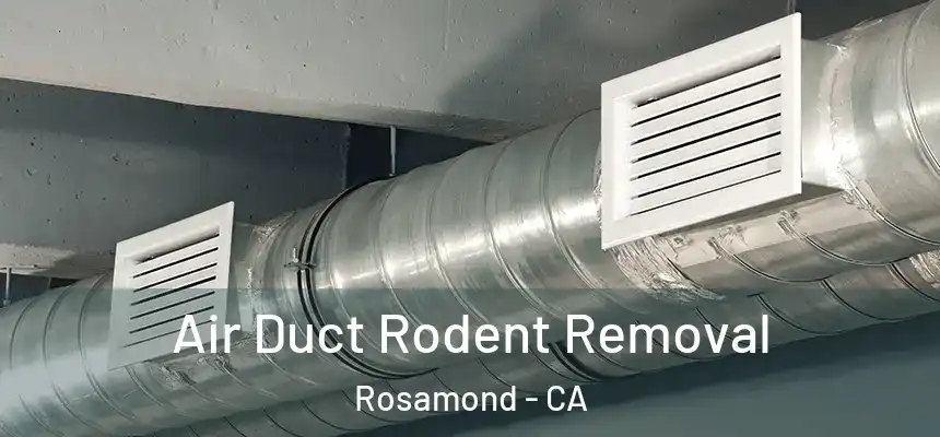 Air Duct Rodent Removal Rosamond - CA