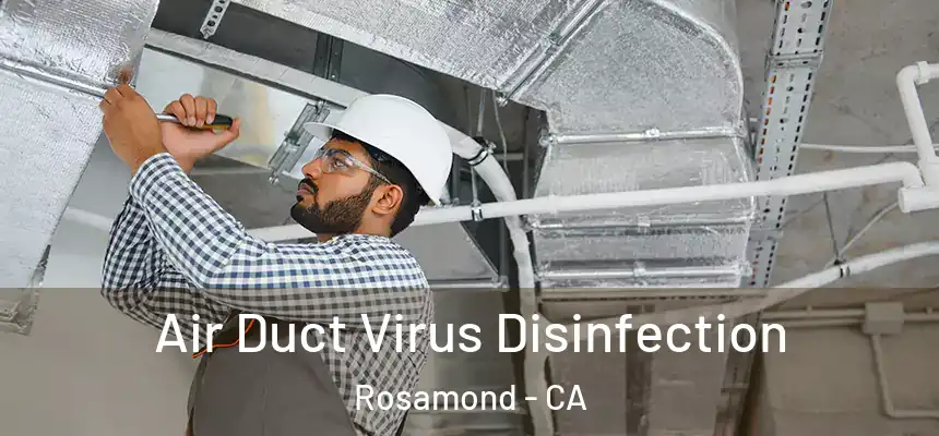  Air Duct Virus Disinfection Rosamond - CA