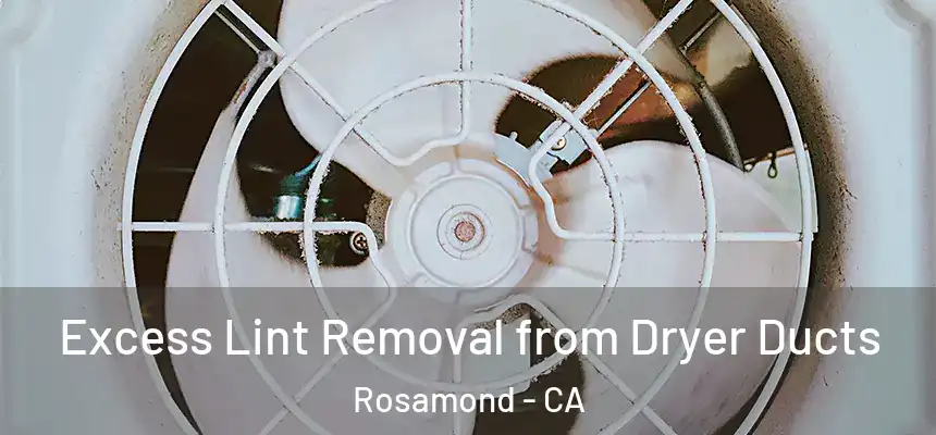  Excess Lint Removal from Dryer Ducts Rosamond - CA