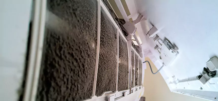 Preventive Air Duct Bacteria Removal in Rosamond