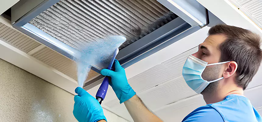 Proactive Dryer Vent & Auxiliary Duct Pollen Cleanup in Rosamond, CA