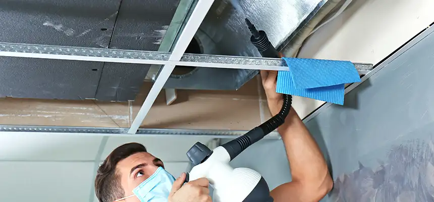 Our Air Duct Rodent Removal Services in Rosamond, CA