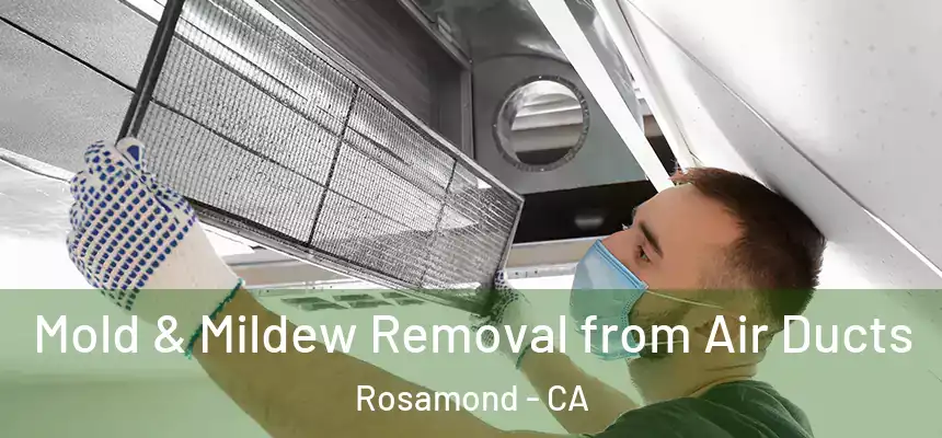 Mold & Mildew Removal from Air Ducts Rosamond - CA