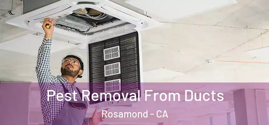  Pest Removal From Ducts Rosamond - CA
