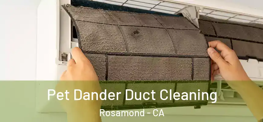 Pet Dander Duct Cleaning Rosamond - CA