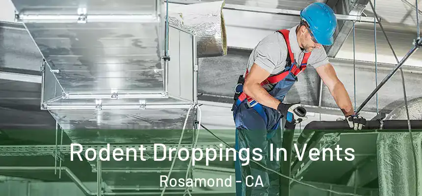 Rodent Droppings In Vents Rosamond - CA