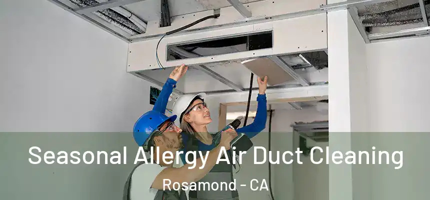  Seasonal Allergy Air Duct Cleaning Rosamond - CA