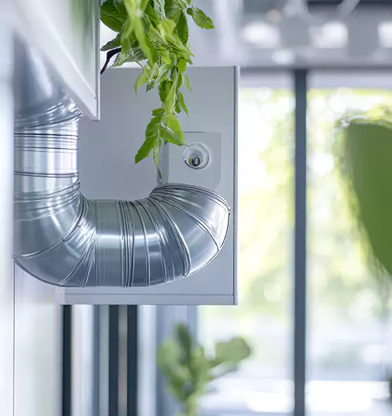 Professional Eco-Friendly Duct Cleaning Services in Rosamond, CA