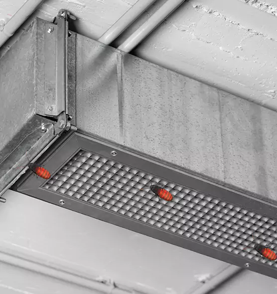 Affordable Insect Removal from Air Ducts in Rosamond, CA