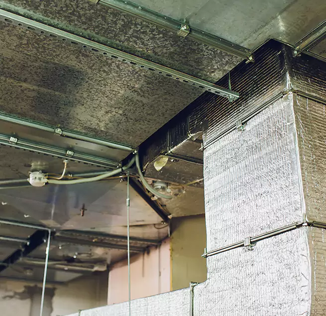 Why Homeowners & Businesses Trust Us in Rosamond, CA?