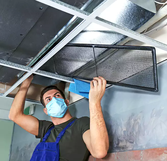 Why Homeowners Businesses Trust Us in Rosamond, CA